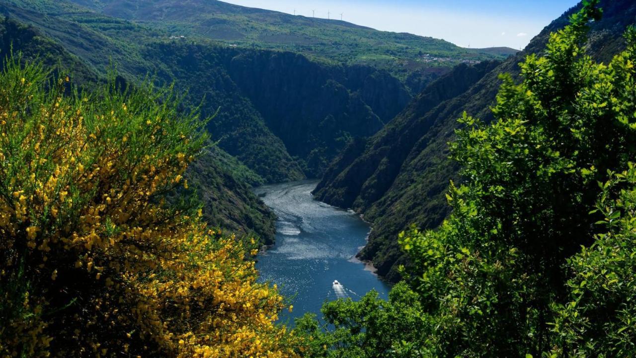 Vila Morin Grey Casa En El Corazon De La Ribeira Sacra Monforte De Lemos Exteriér fotografie
