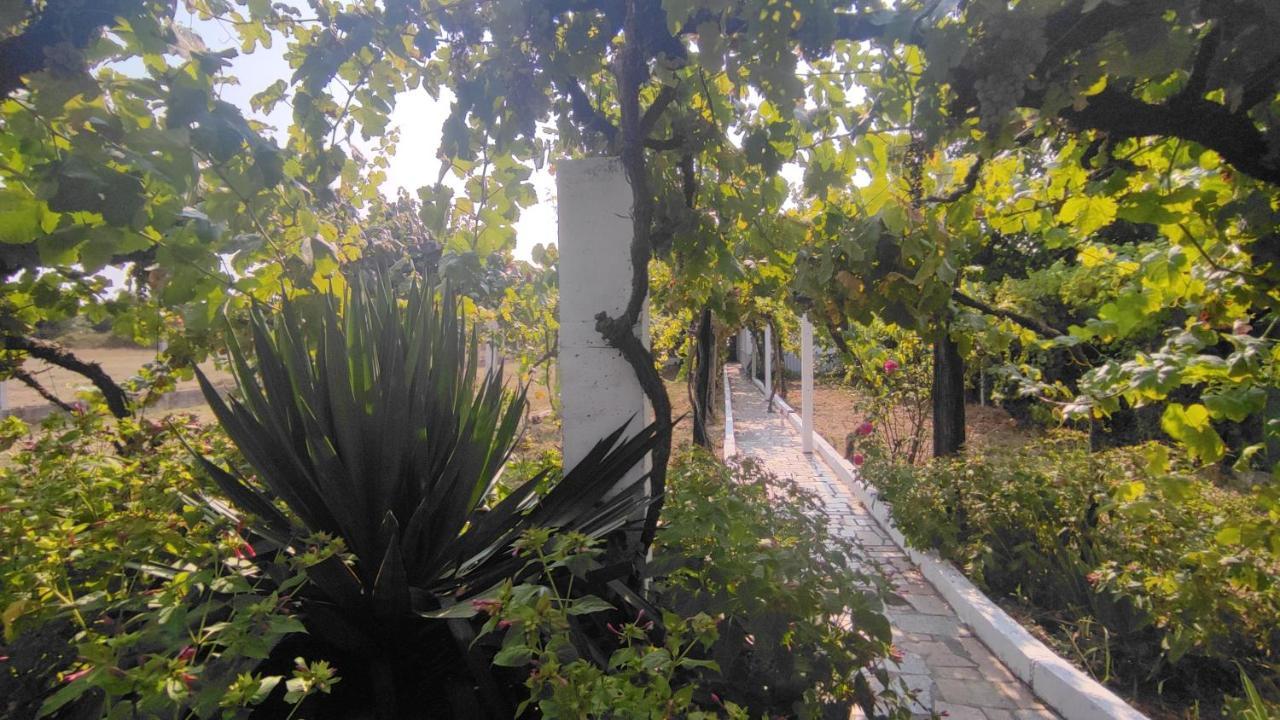 Vila Morin Grey Casa En El Corazon De La Ribeira Sacra Monforte De Lemos Exteriér fotografie